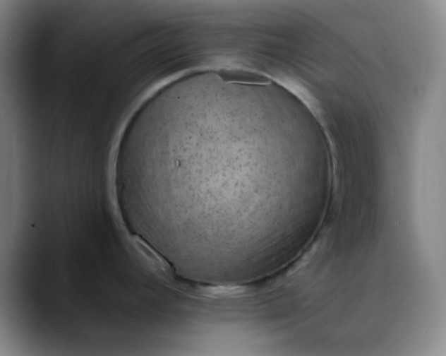 X0000089861392200707121728