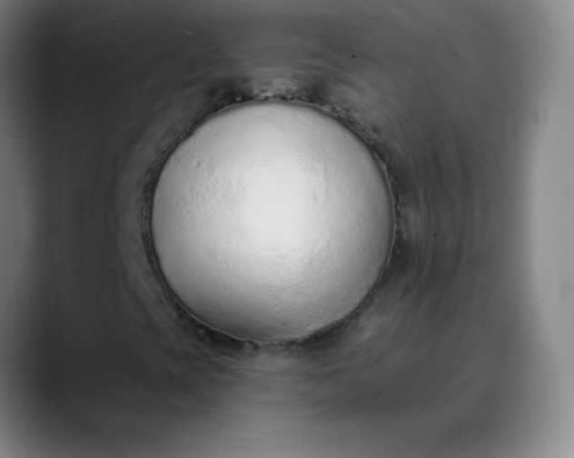 X0000089861393200707121727