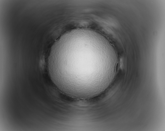 X0000089861395200707121727