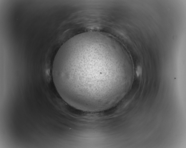 X0000089861396200707121727