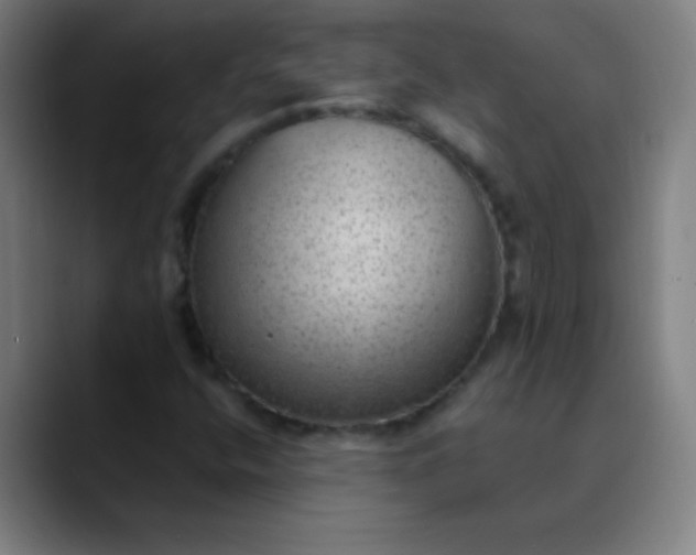 X0000089861400200707121727