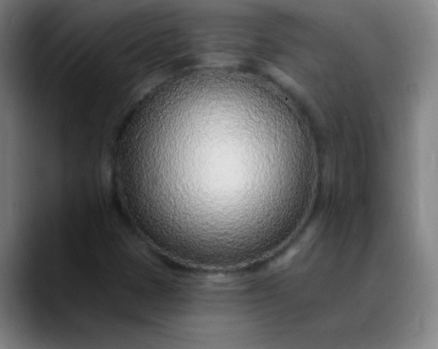 X0000089861401200707121728