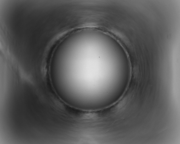 X0000089861406200707121728