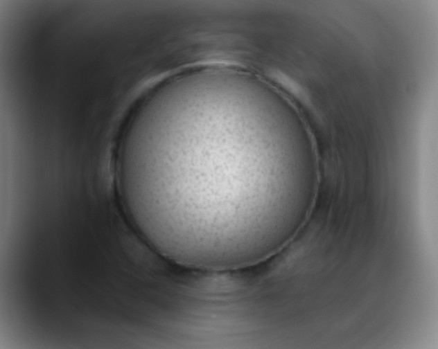 X0000089861408200707121728