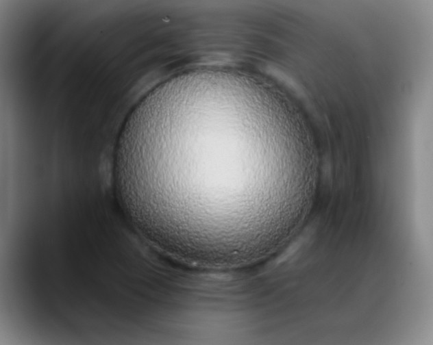 X0000089861409200707121728