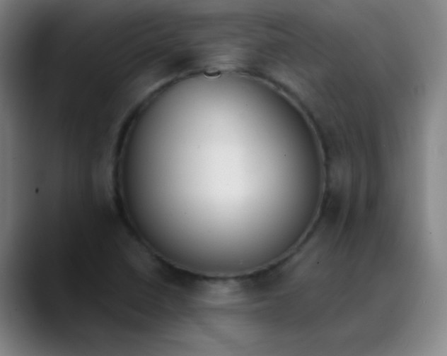 X0000089861410200707121728