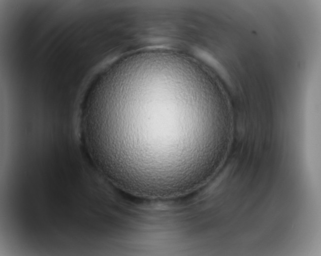 X0000089861411200707121728