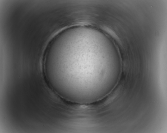 X0000089861412200707121728