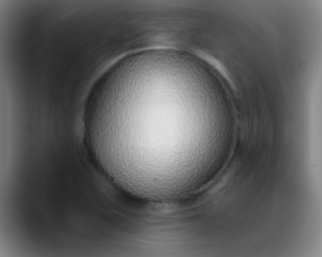 X0000089861415200707121728