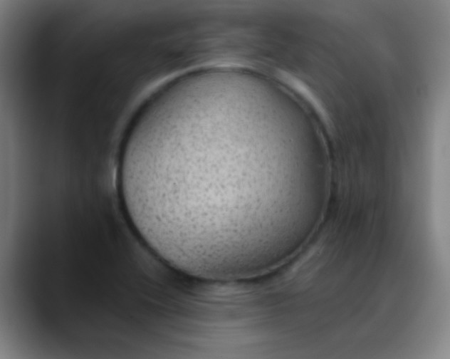 X0000089861416200707121728