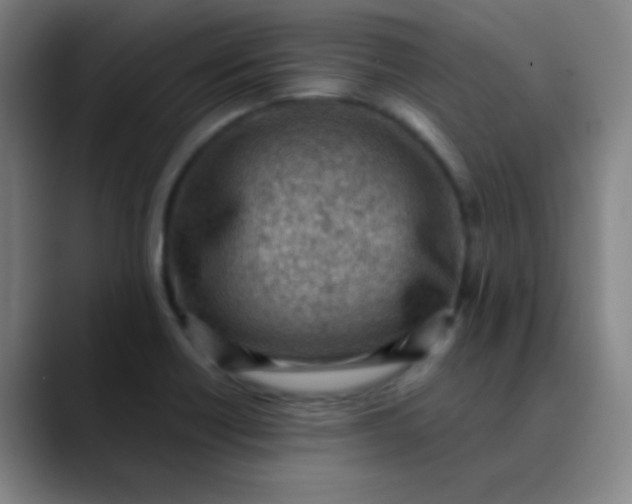 X0000089861418200707121728