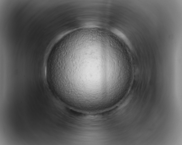 X0000089861419200707121728