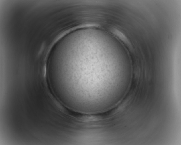 X0000089861420200707121728