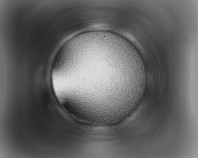 X0000089861421200707121728