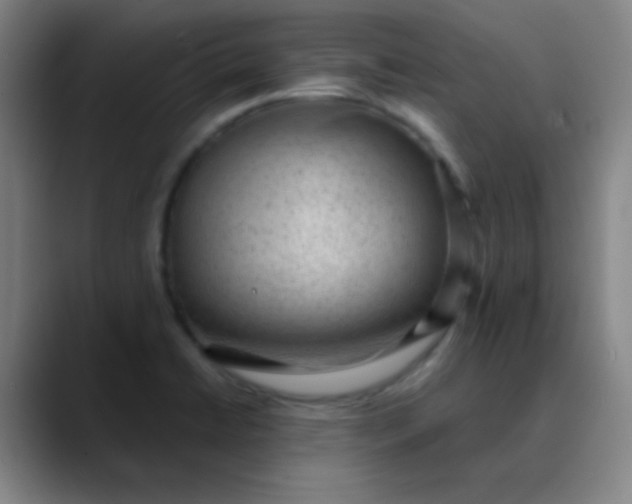 X0000089861422200707121728