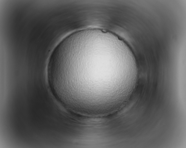 X0000089861423200707121728