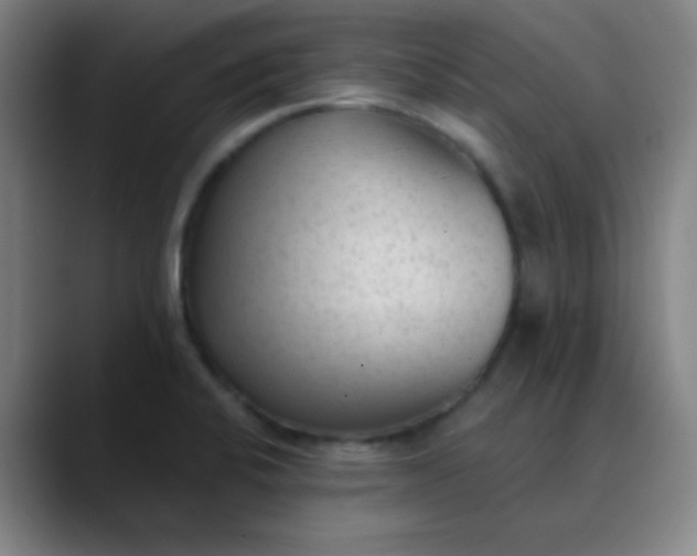 X0000089861424200707121728