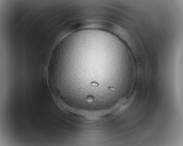 X0000089861425200707121728