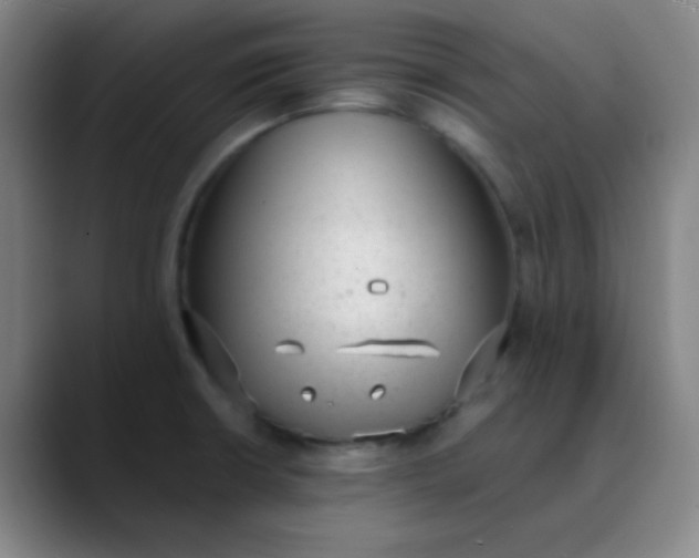 X0000089861426200707121728