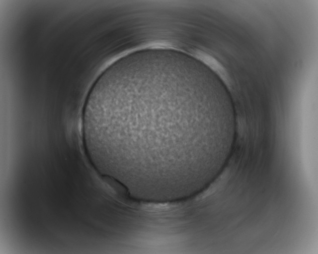 X0000089861428200707121728