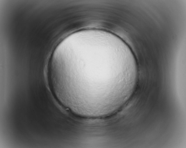 X0000089861429200707121728