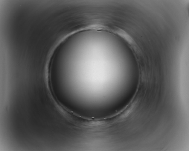 X0000089861430200707121728