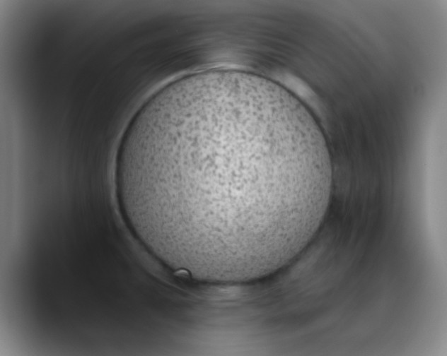 X0000089861431200707121728