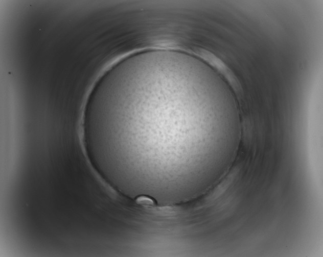 X0000089861432200707121728