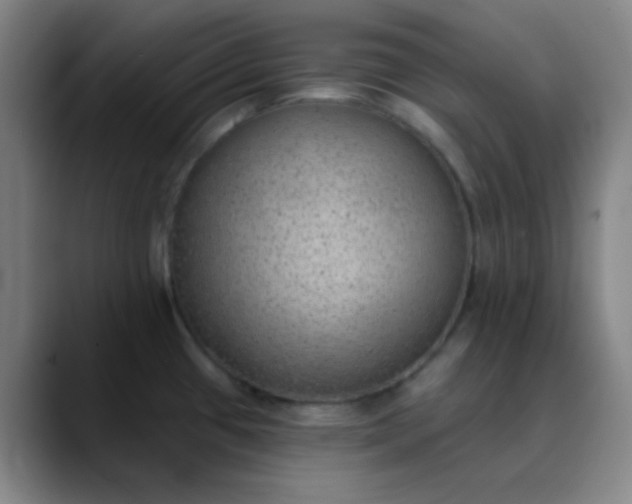 X0000089861433200707121728