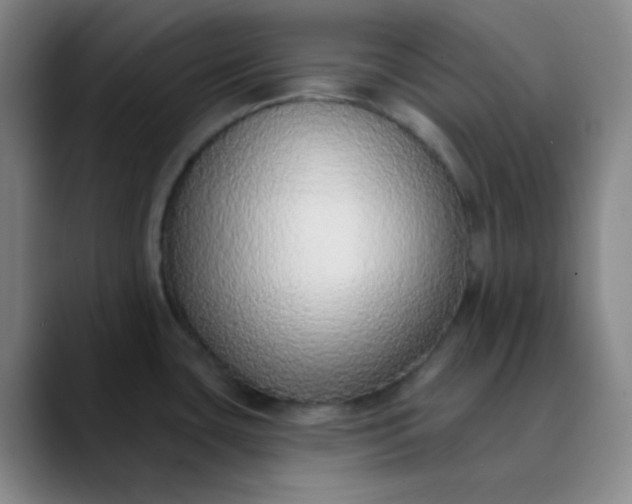 X0000089861435200707121728