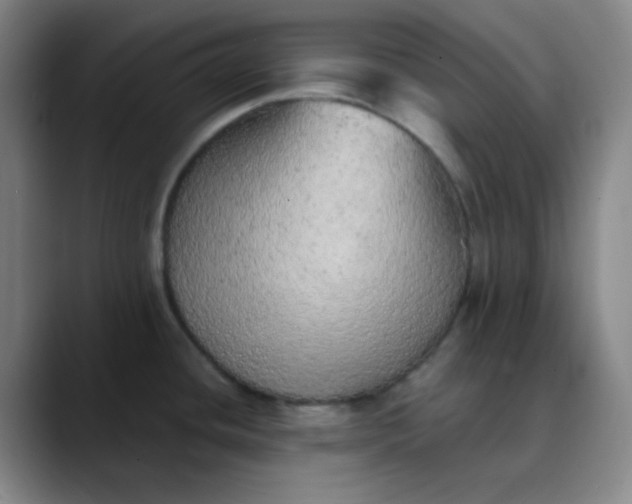 X0000089861436200707121728