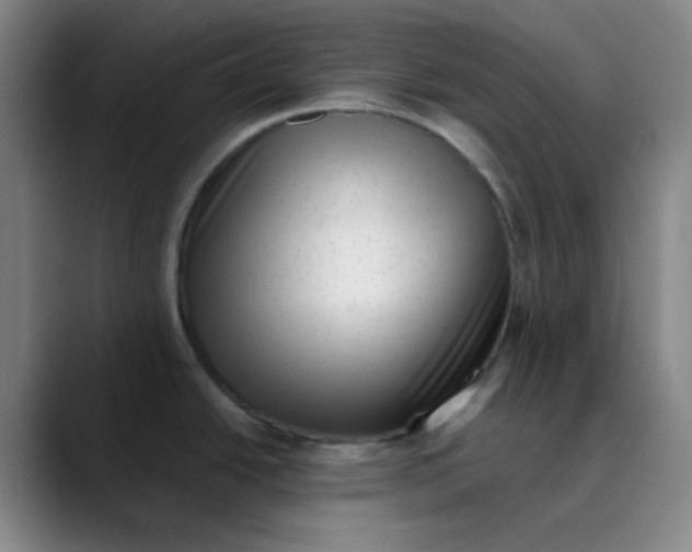 X0000089861438200707121728