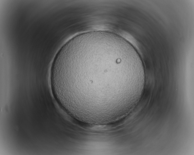 X0000089861439200707121728