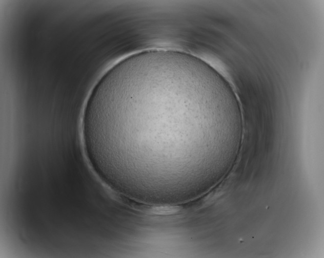 X0000089861440200707121728