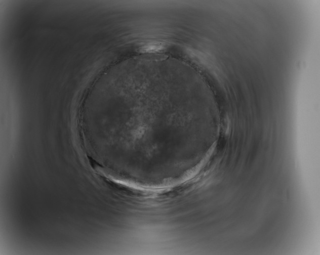 X0000089861441200707121727