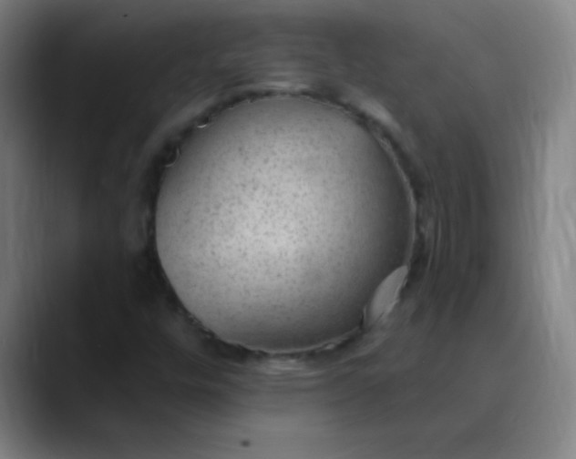 X0000089861448200707121727