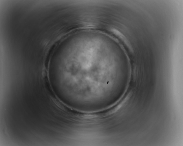 X0000089861449200707121727