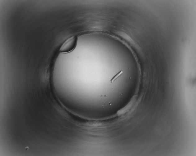 X0000089861450200707121727