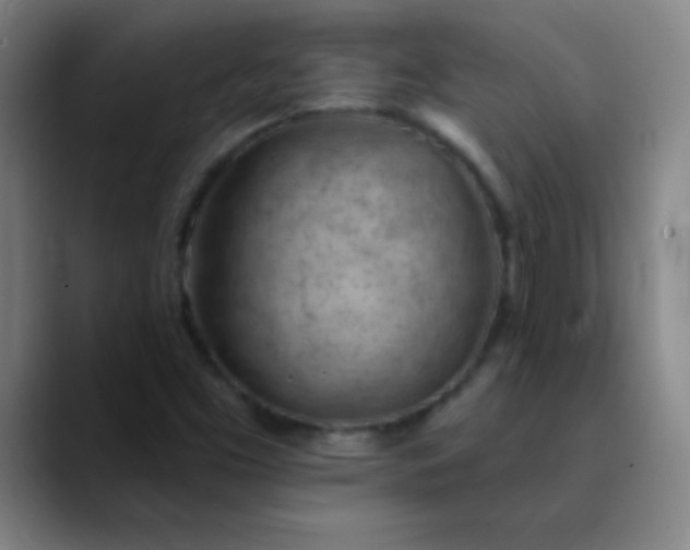 X0000089861453200707121727