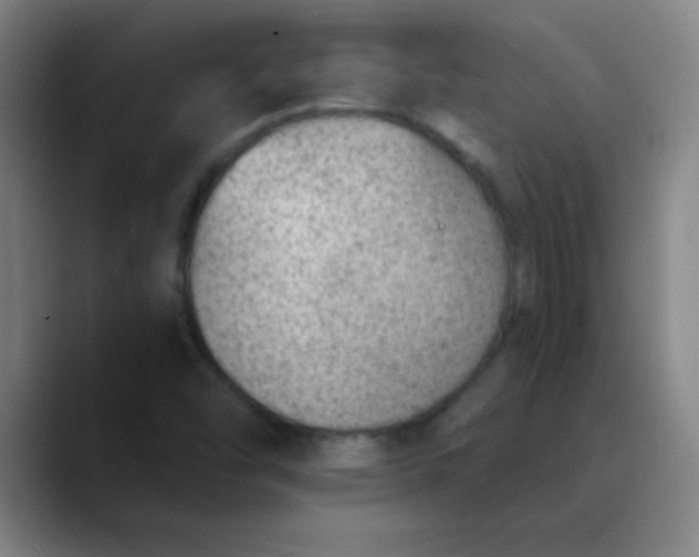 X0000089861454200707121727