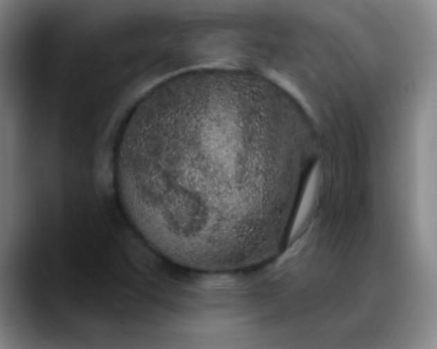 X0000089861455200707121727