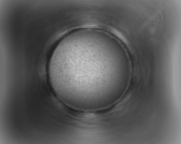 X0000089861456200707121727