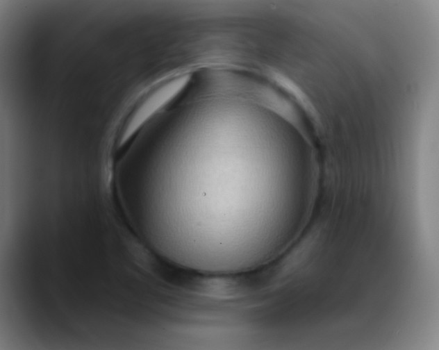 X0000089861461200707121727