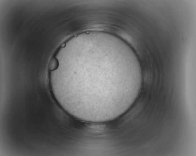 X0000089861466200707121727