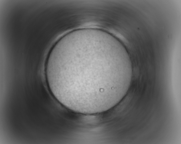 X0000089861470200707121727