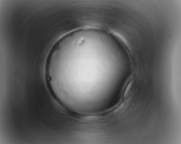 X0000089861471200707121727