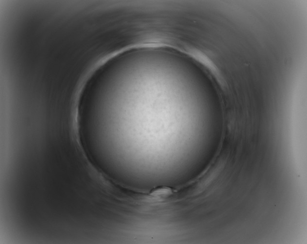 X0000089861472200707121727