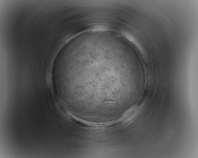 X0000089861473200707121727