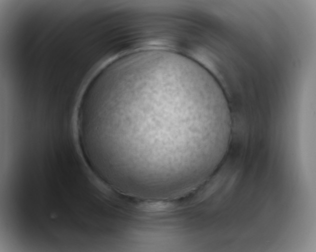 X0000089861474200707121727