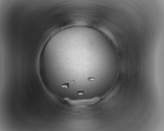 X0000089861475200707121727